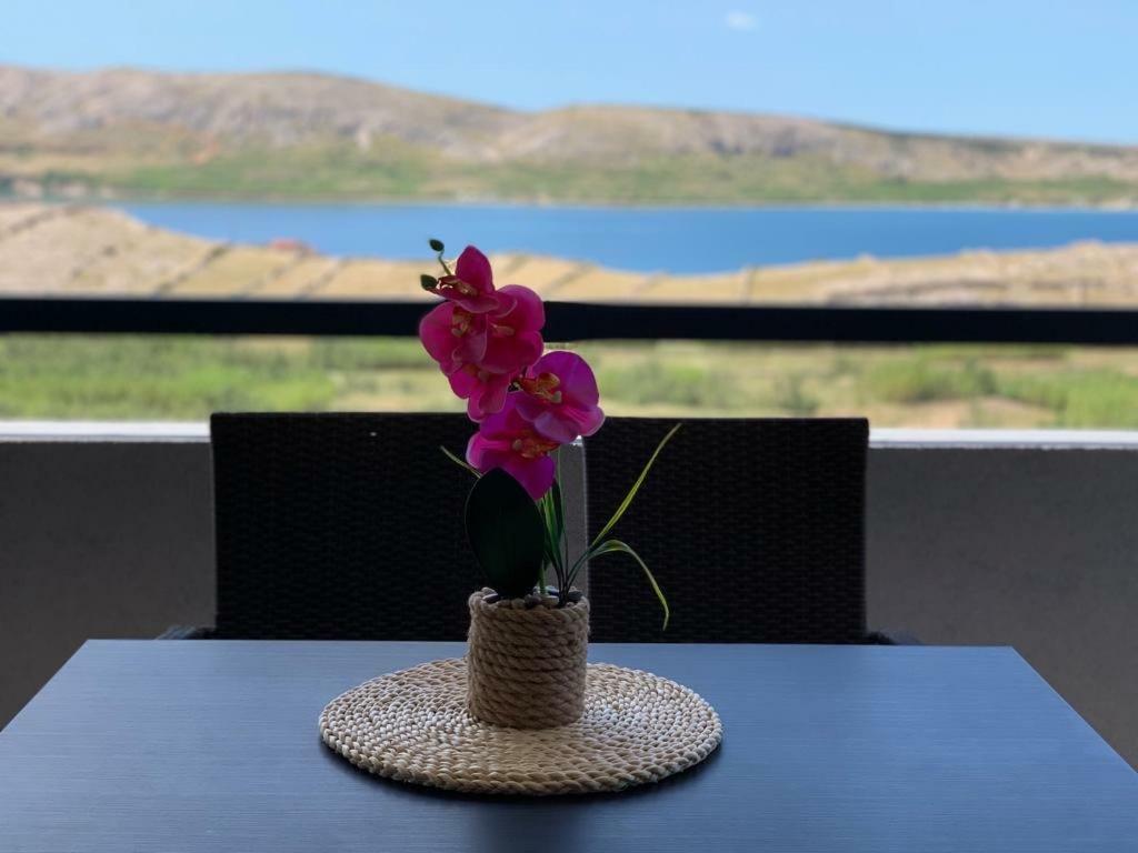 Nelany Appartement Zubovići Buitenkant foto
